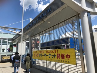 101.jpg