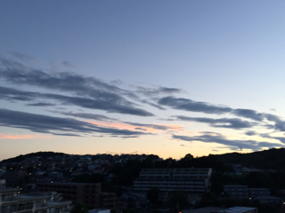 B90ED236-3B1D-4272-AAE6-56A60B4BBD9F.jpg
